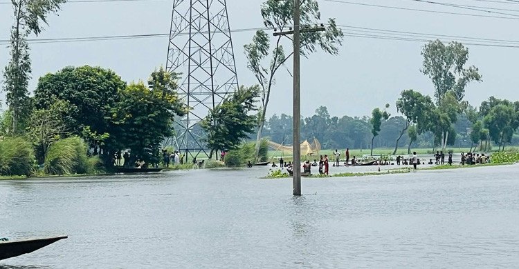 নওগাঁর রাণীনগরে নিখোঁজের সাড়ে ৩ ঘন্টা পর বিলের পানি থেকে কৃষকের লাশ উদ্ধার